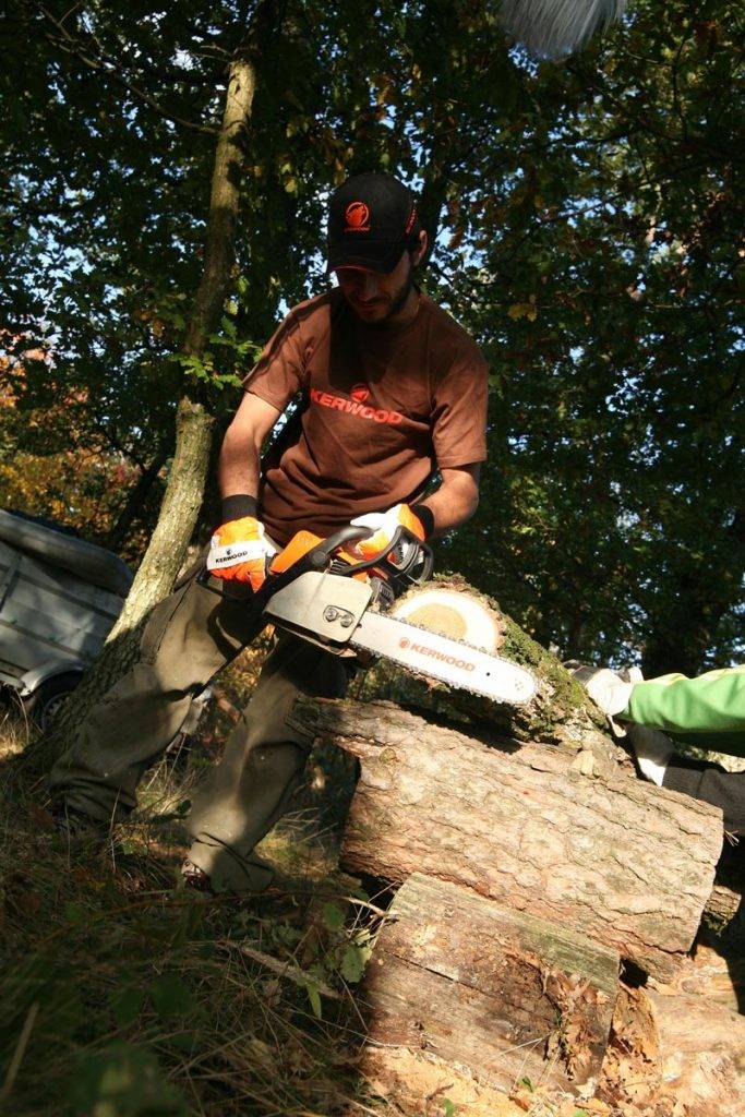 Scie guide de coupe de bois Acier Scie à chaîne en bois Fixation